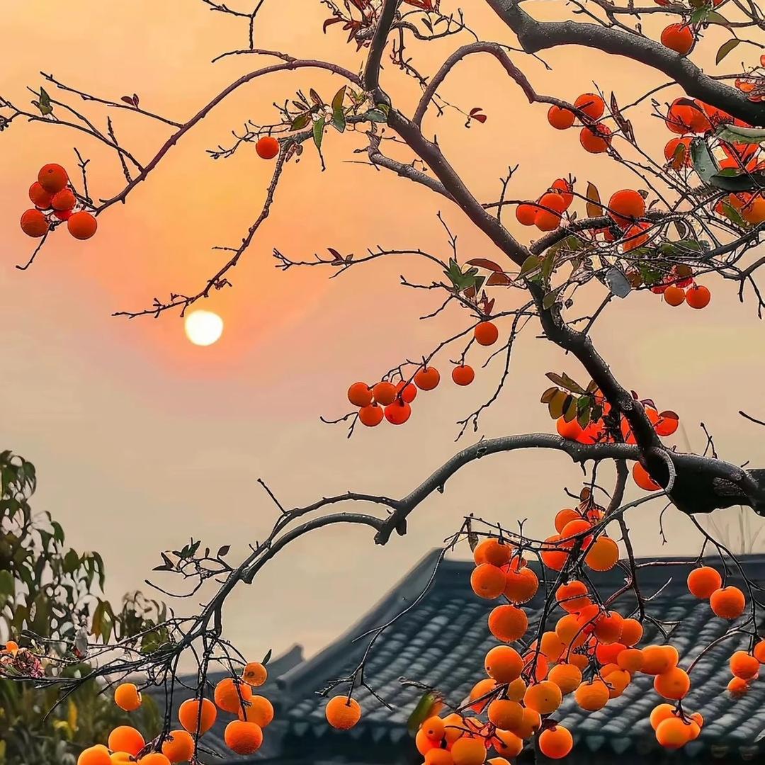 隔岸