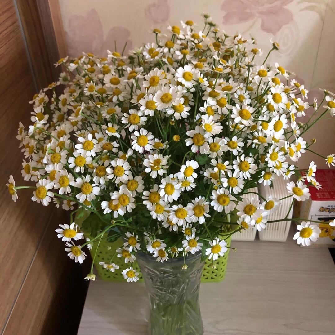 观赏