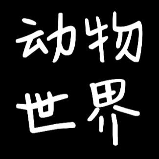 清影大自然