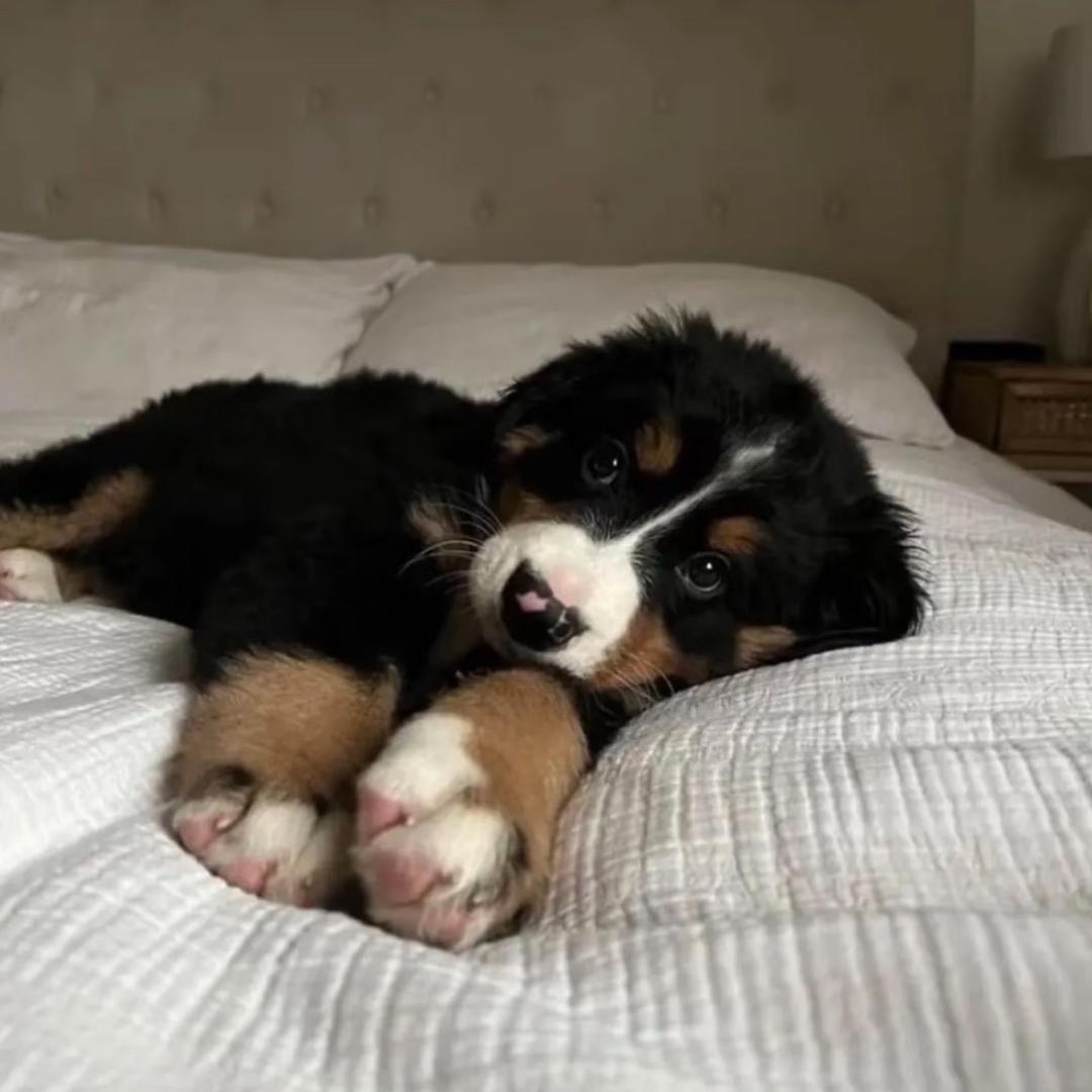 ￴ ￴￴￴ ￴￴ yuyei