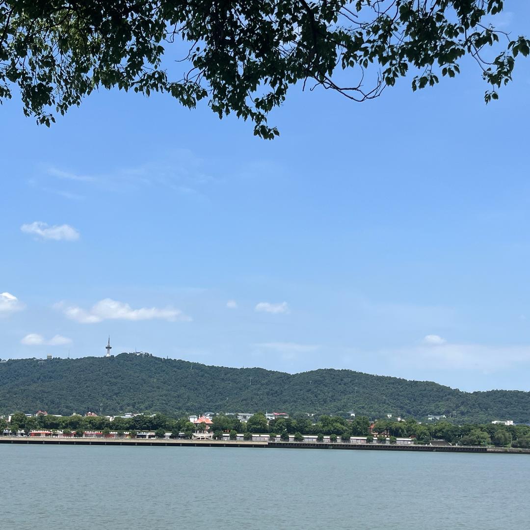 冲呀！撸起袖子加油干！