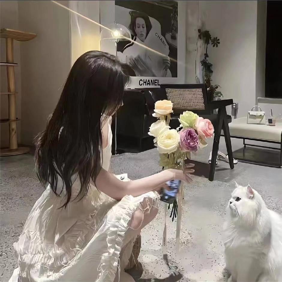 Tk 源头橱窗林黛玉