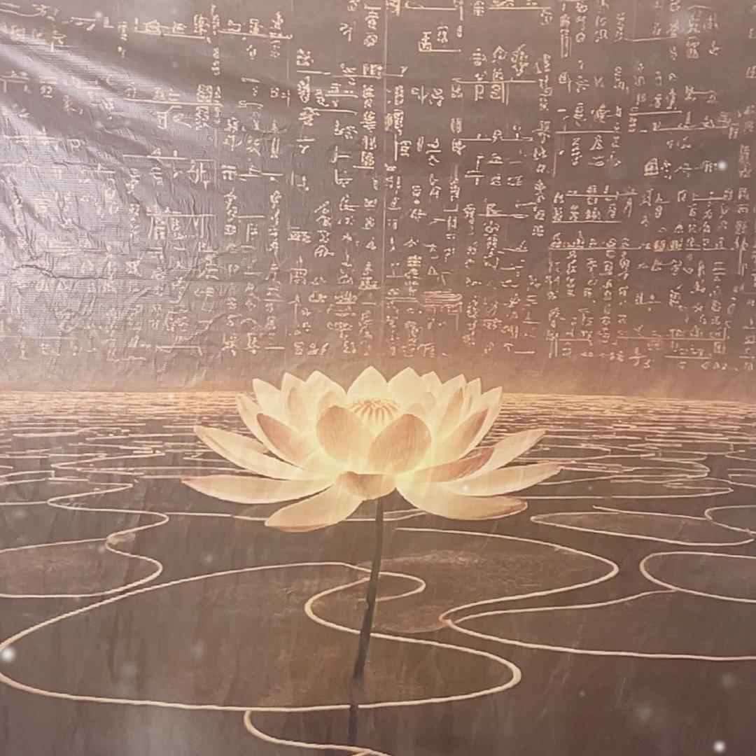 一善