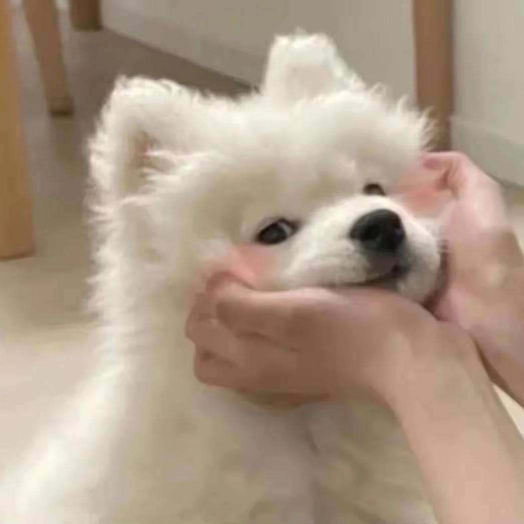 小美服装优港