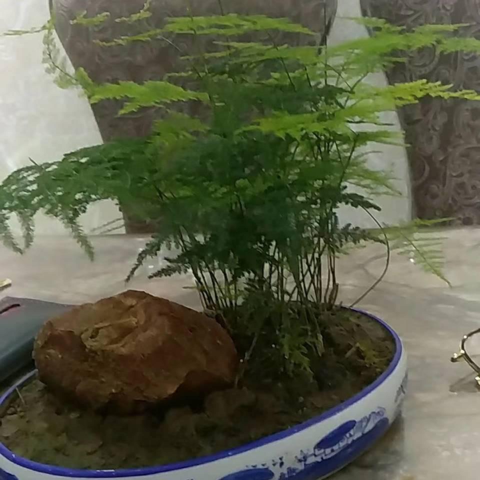老徐。