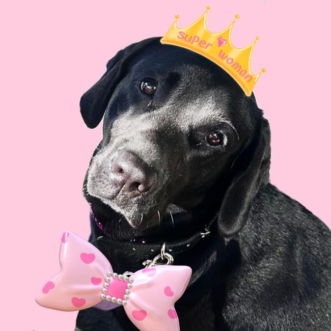 饼干小公主👸🏻