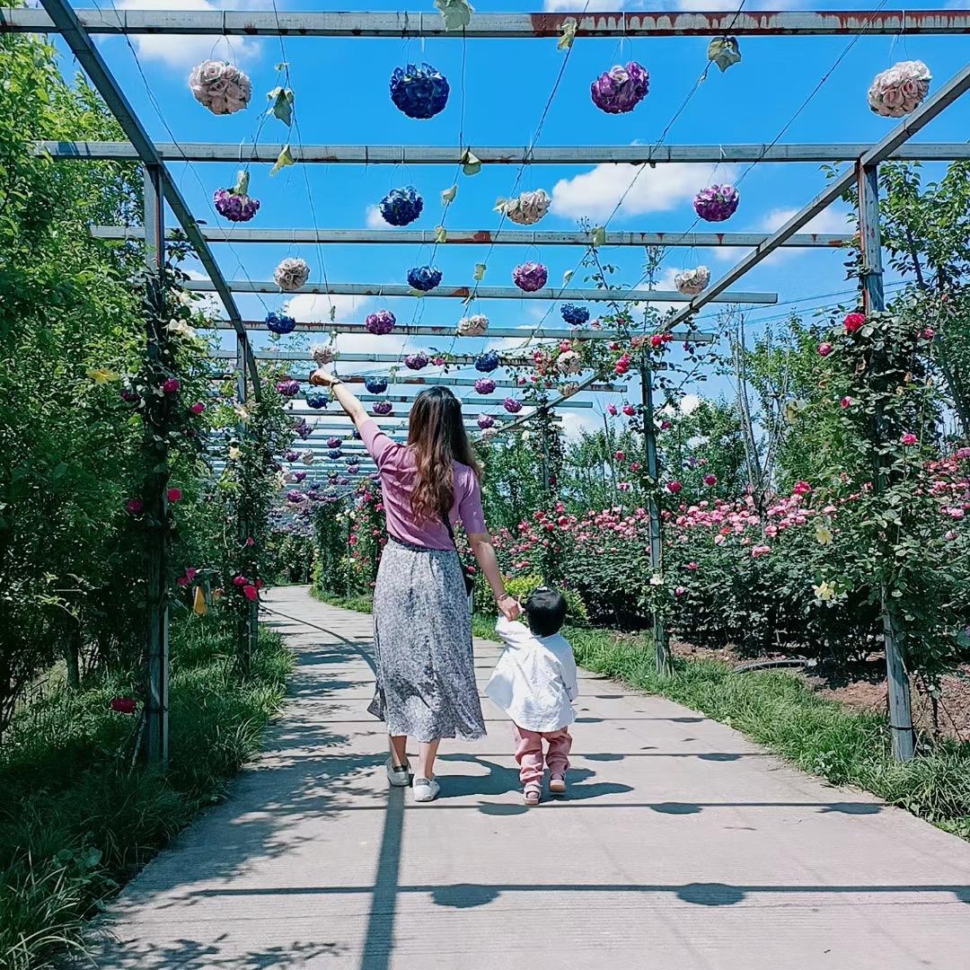 黑暗🦋
