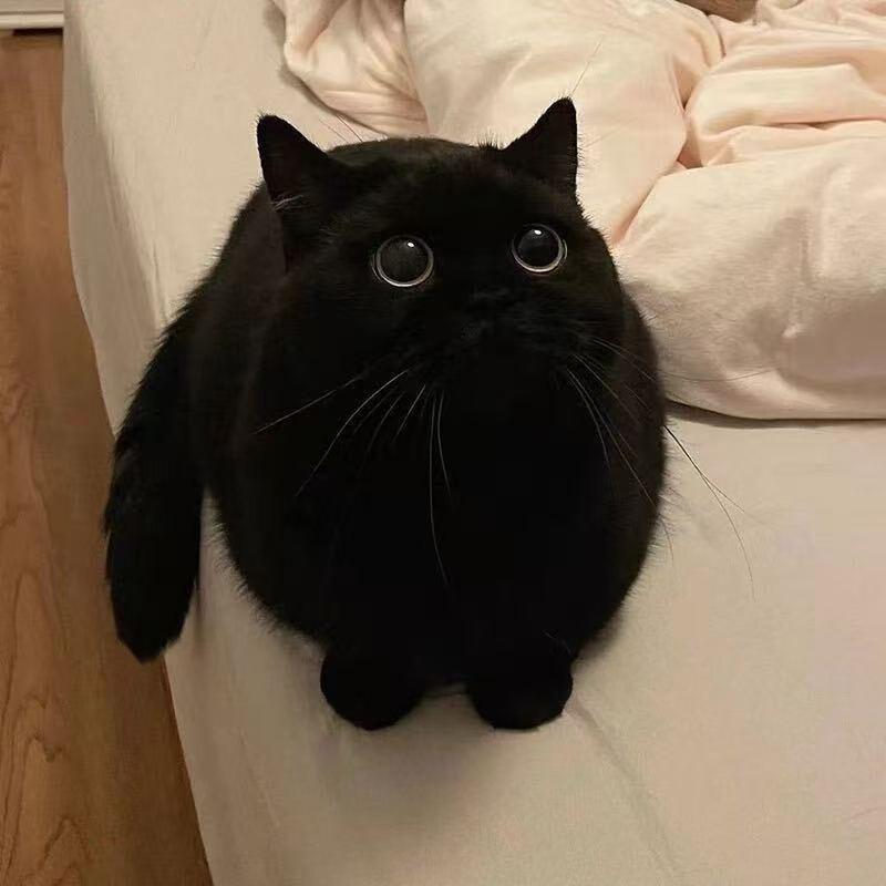 她与晚风皆温柔