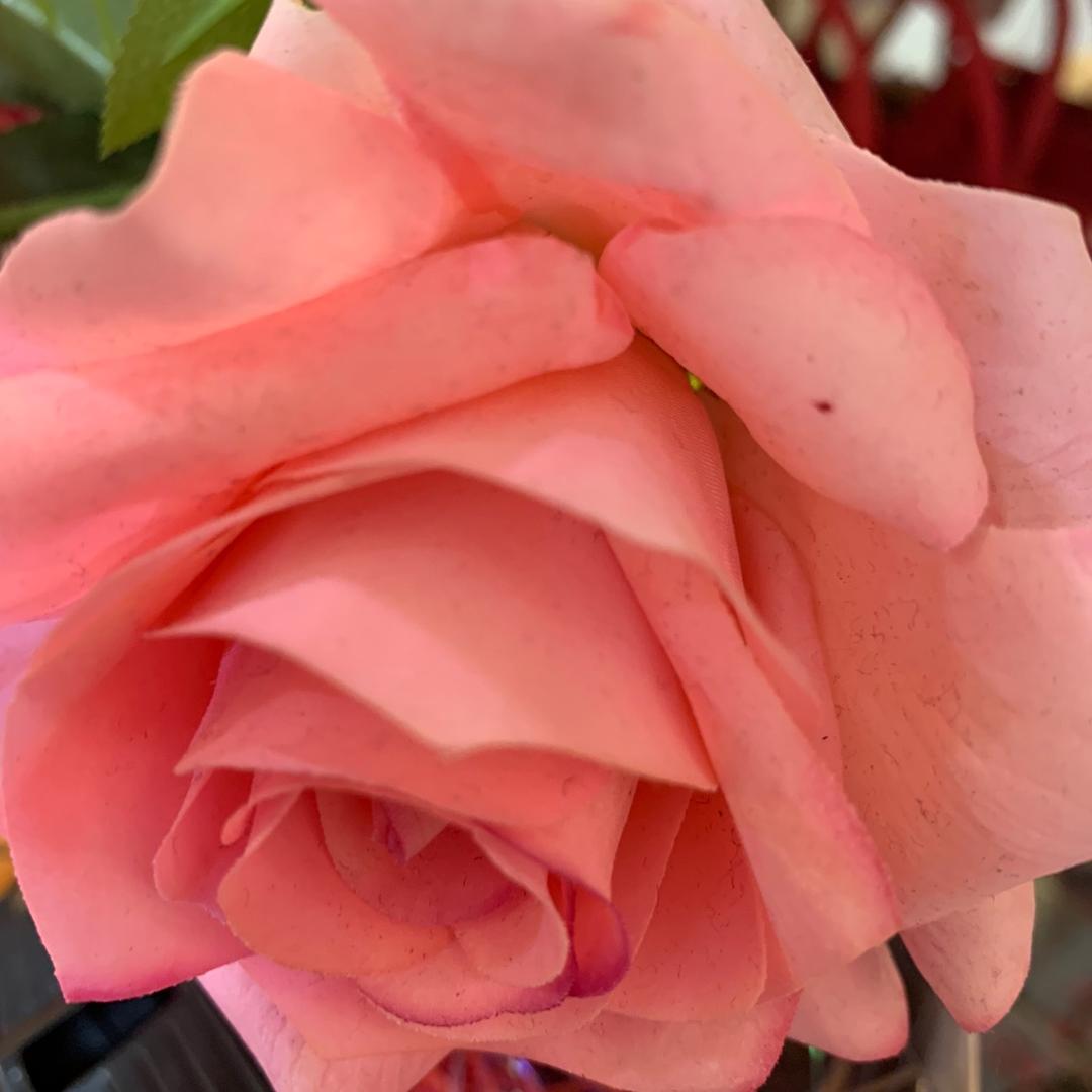 💐倚栏听风