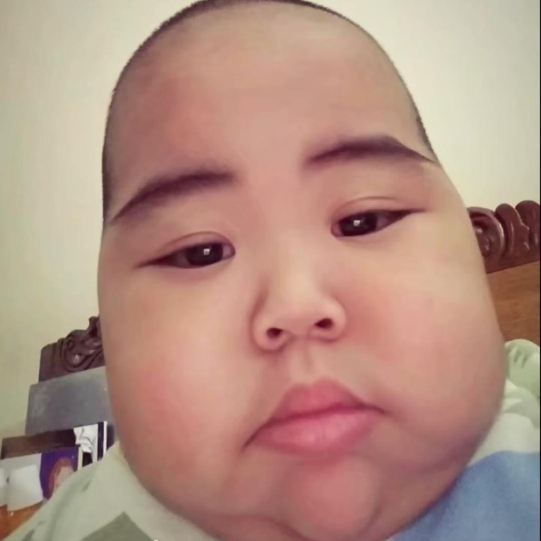 森林迷了鹿🎱