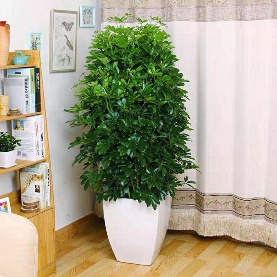用户6113871080062