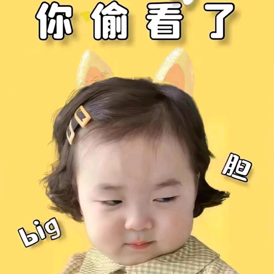 多宝有多饱