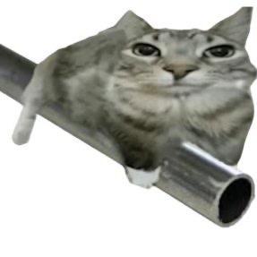 白瞳. 𝓣