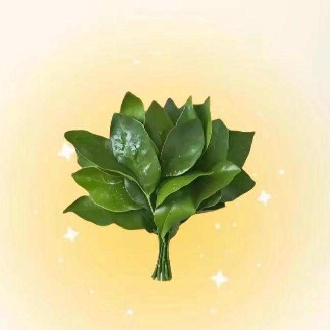 🍉茜瓜不元🍉