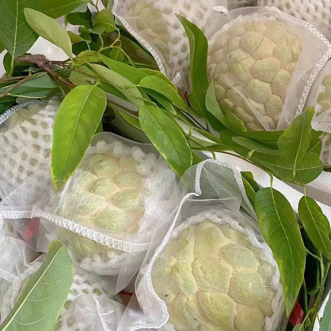东里果乐汇