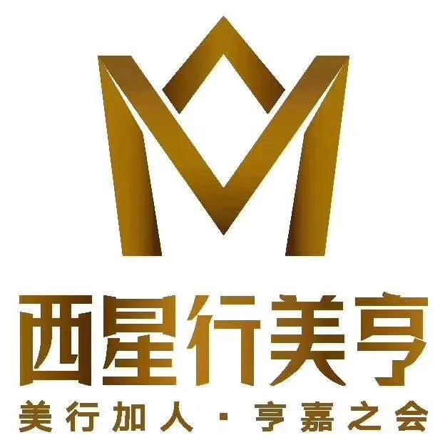 成都西星行名车（黎老板）