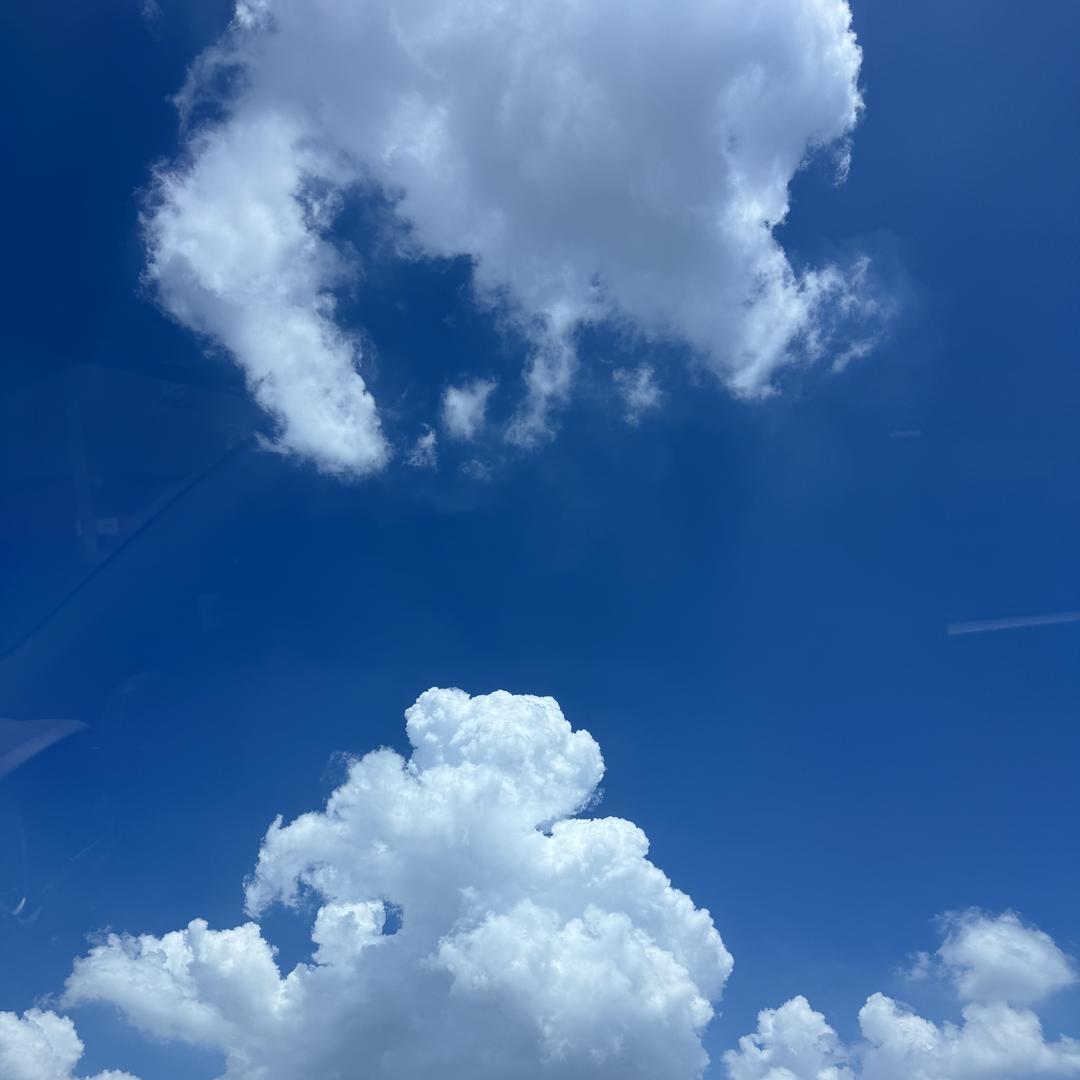 后尧园艺