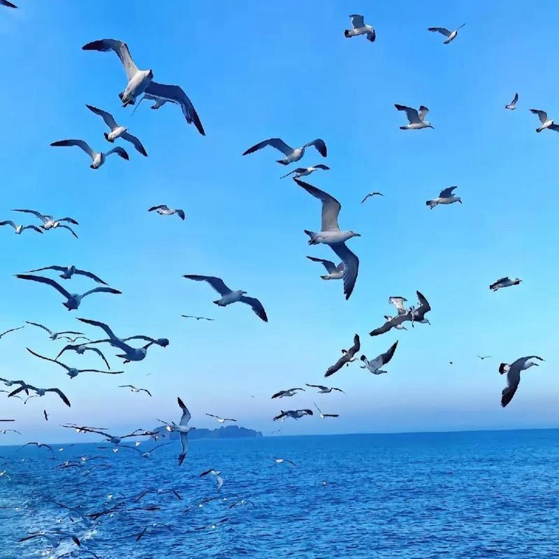 星辰大海