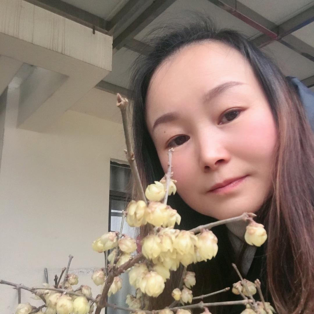 可可西里