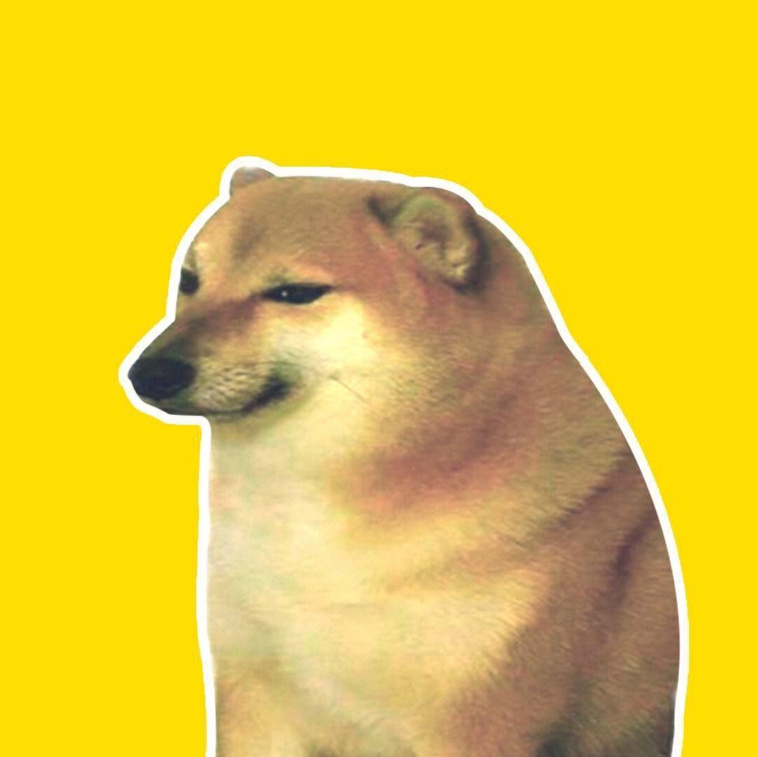 Cheems精神小伙