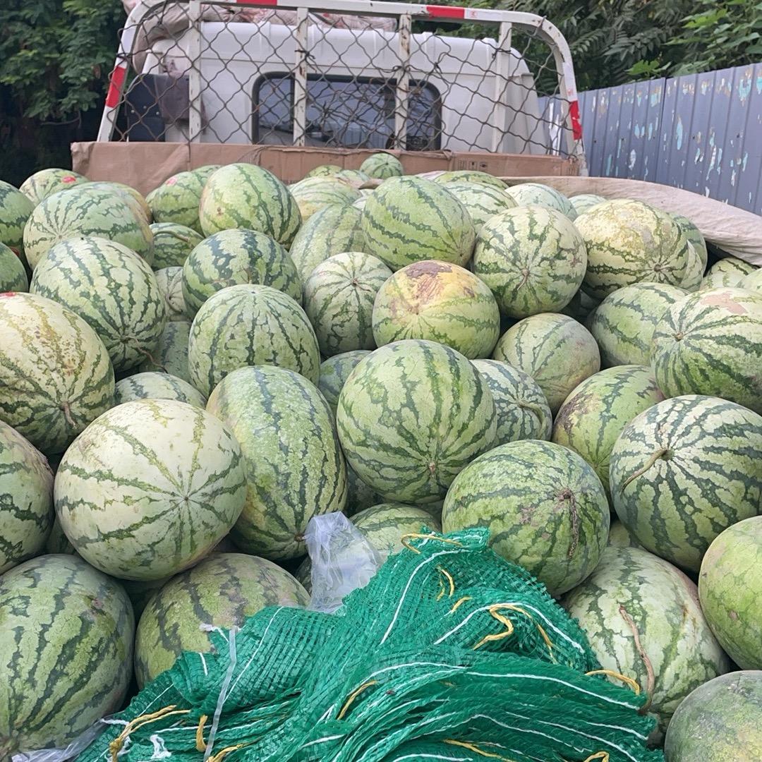 帅凯硕
