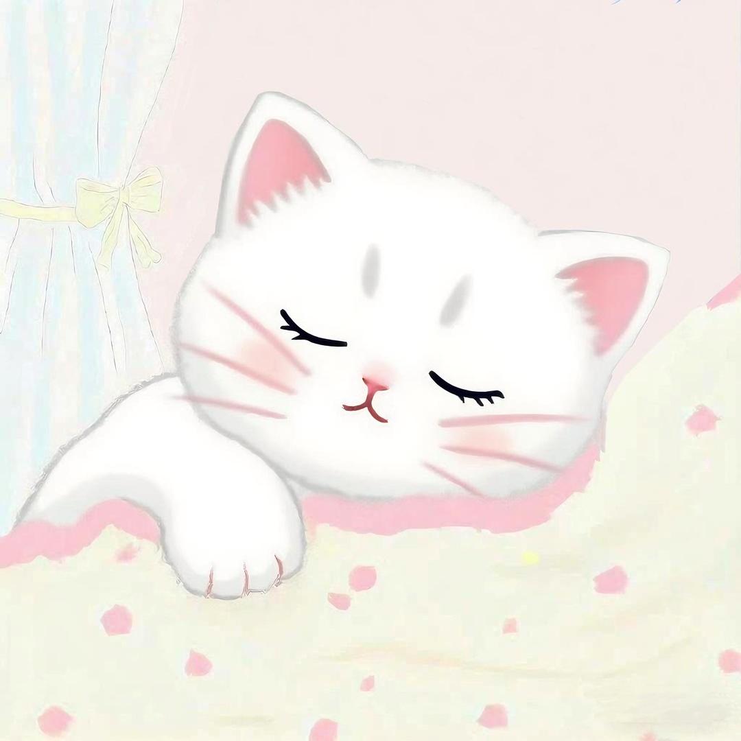 丰县菜菜家·大码女装