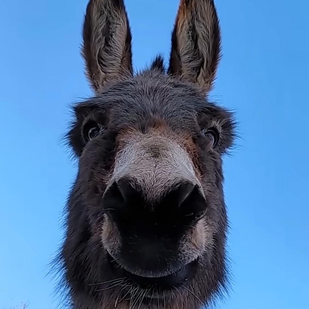 那片海