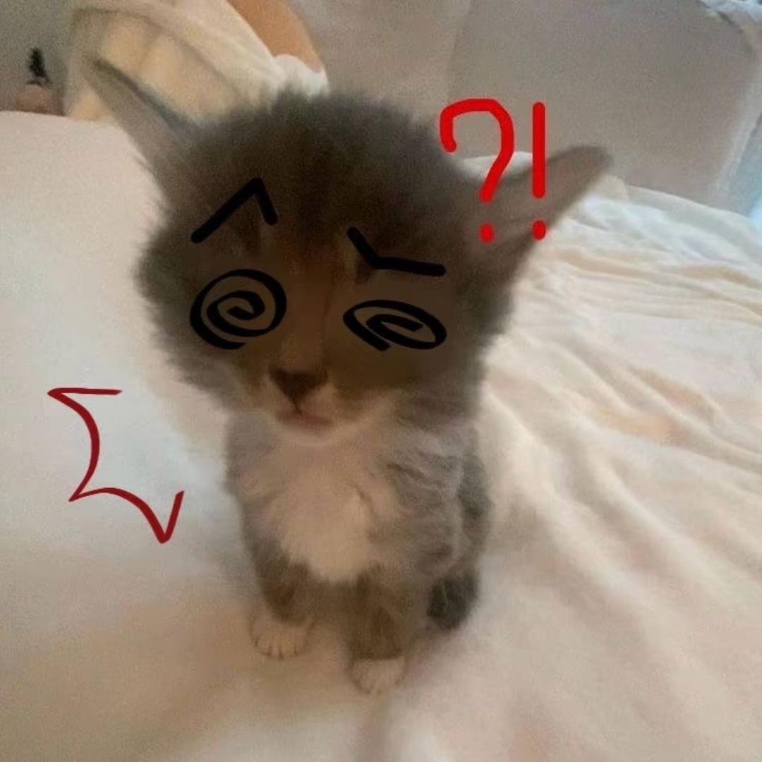 奶猫超人
