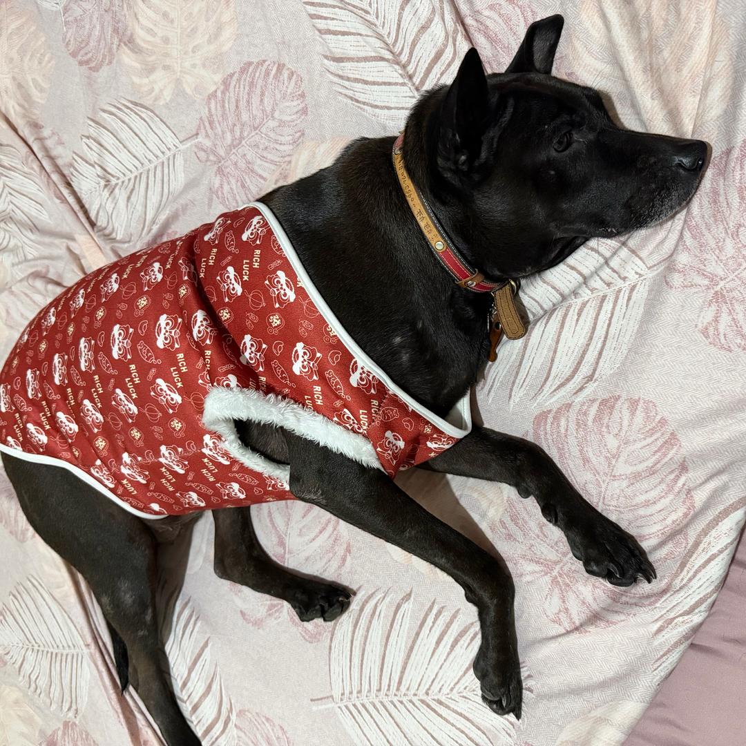 京声西娅 🌙管家🌙臻果