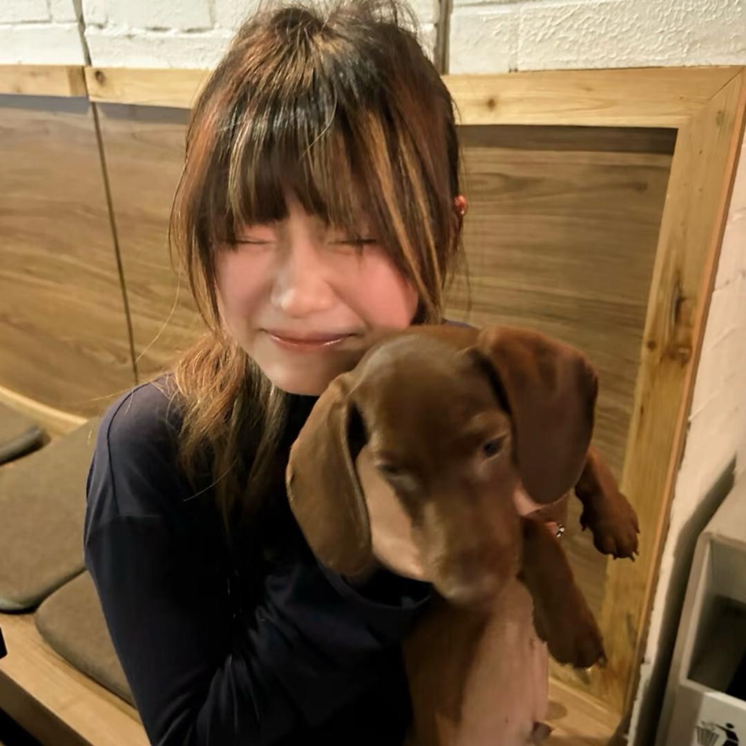 赵赵-