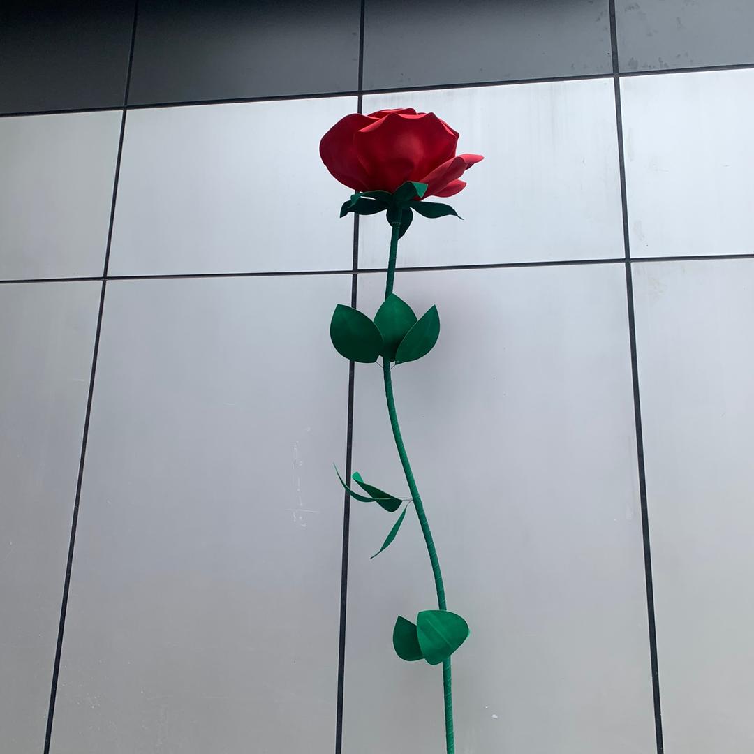 点点优选⁵⁸⁸