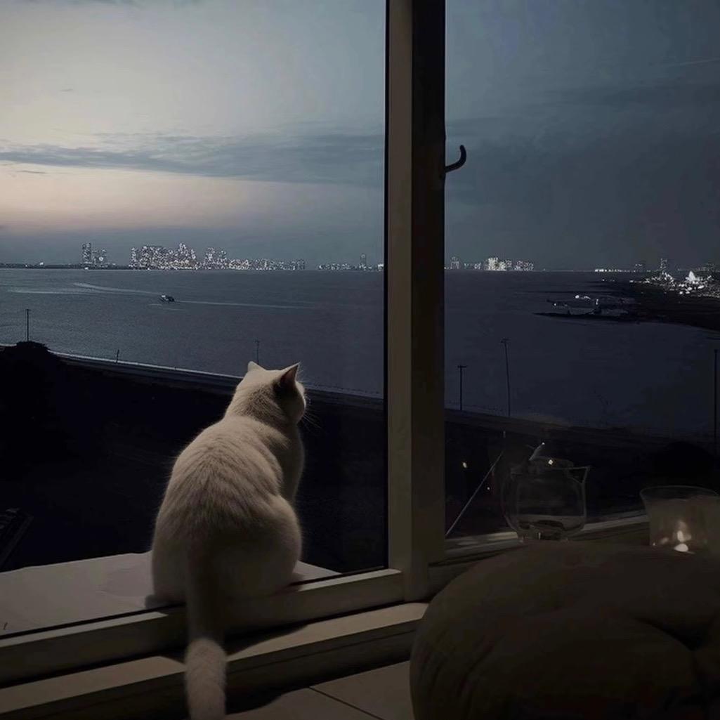 普通人  ￰ㅤ  ㅤ