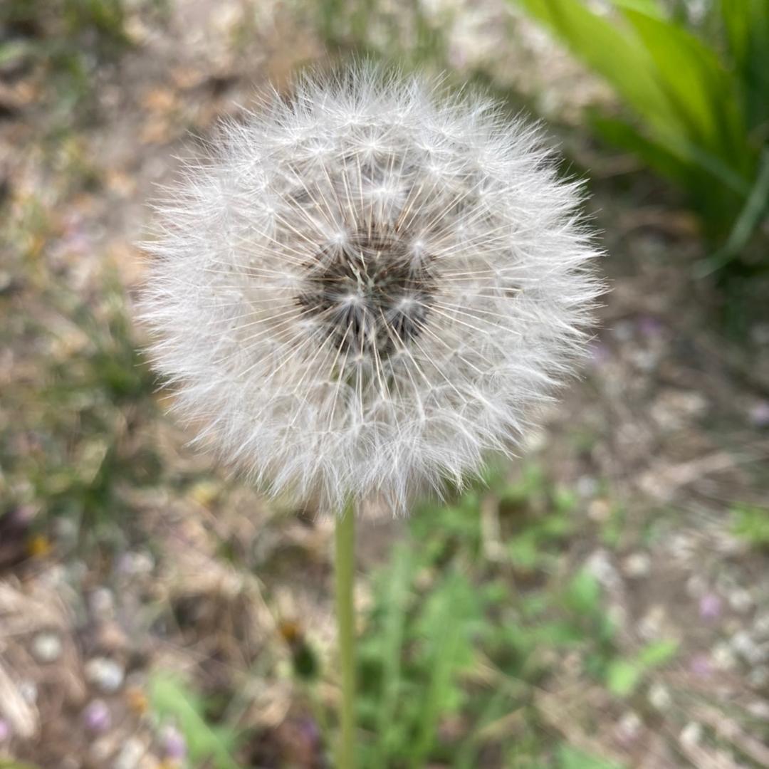 留那一秒记忆