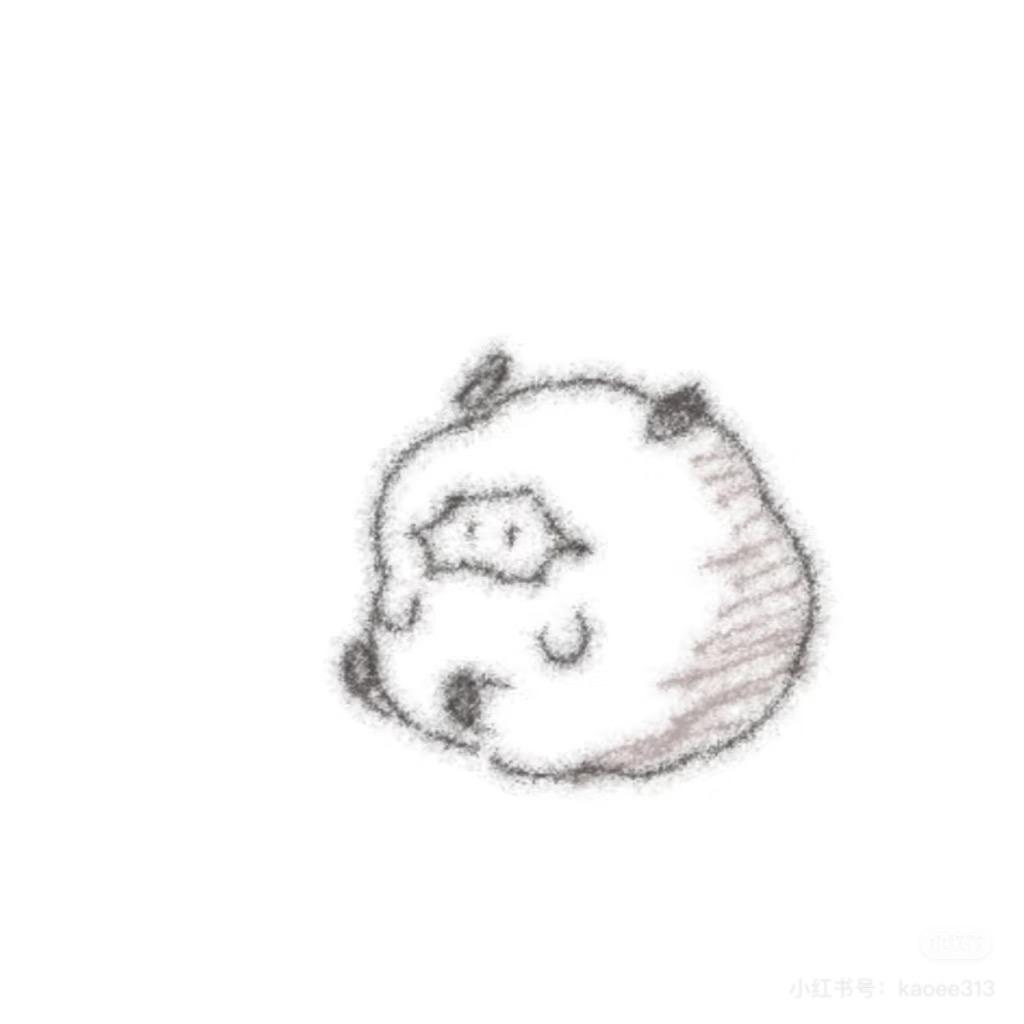 e小羊肖恩n