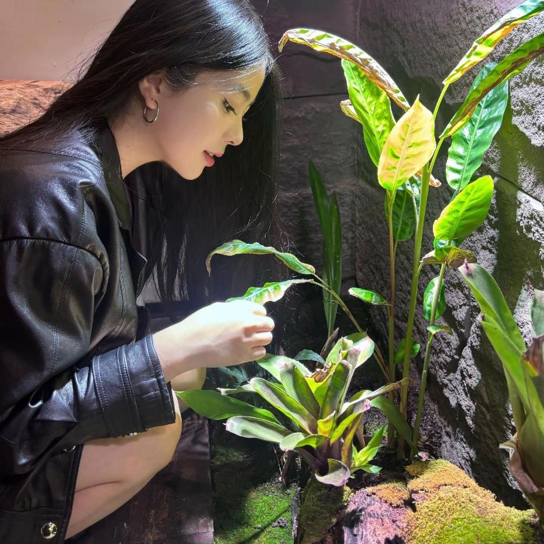 观湖茶馆