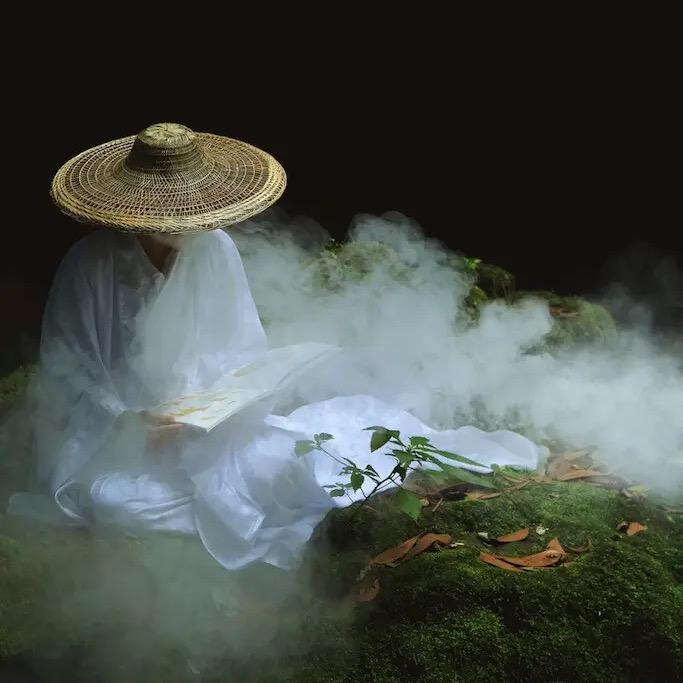 半山归隐