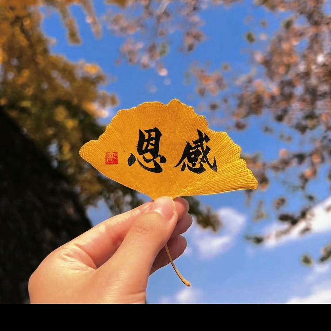 莉莉优品