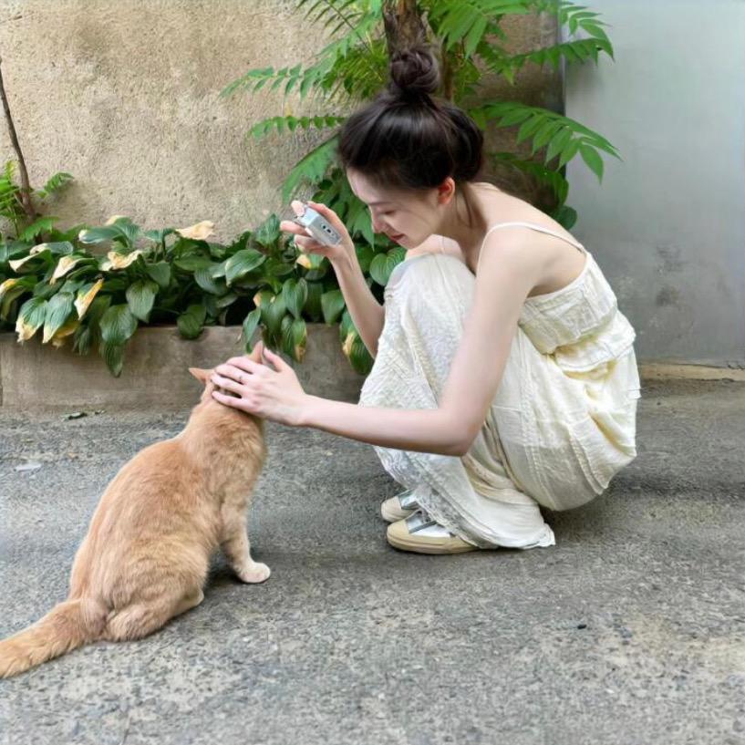 鹿禾禾