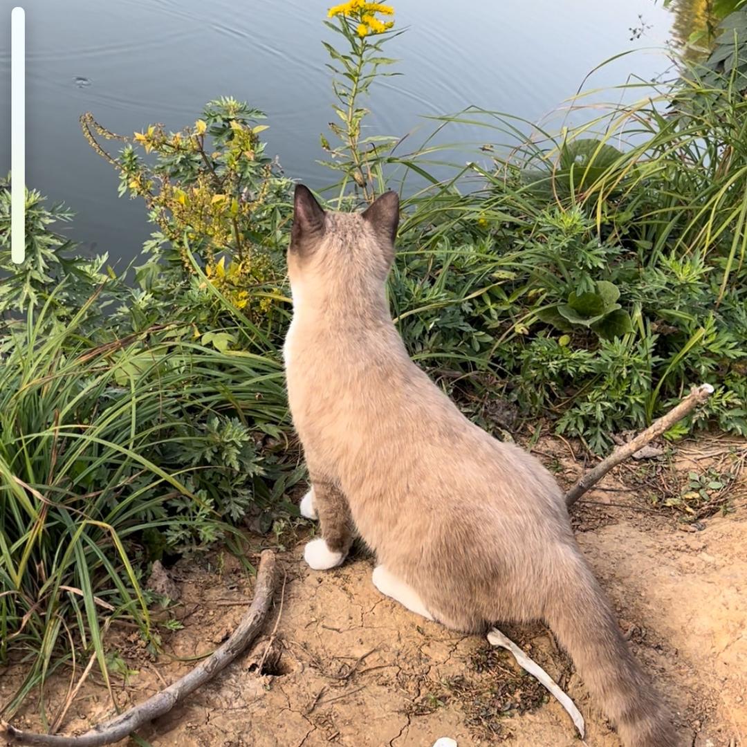 乱拳打死老师傅☟