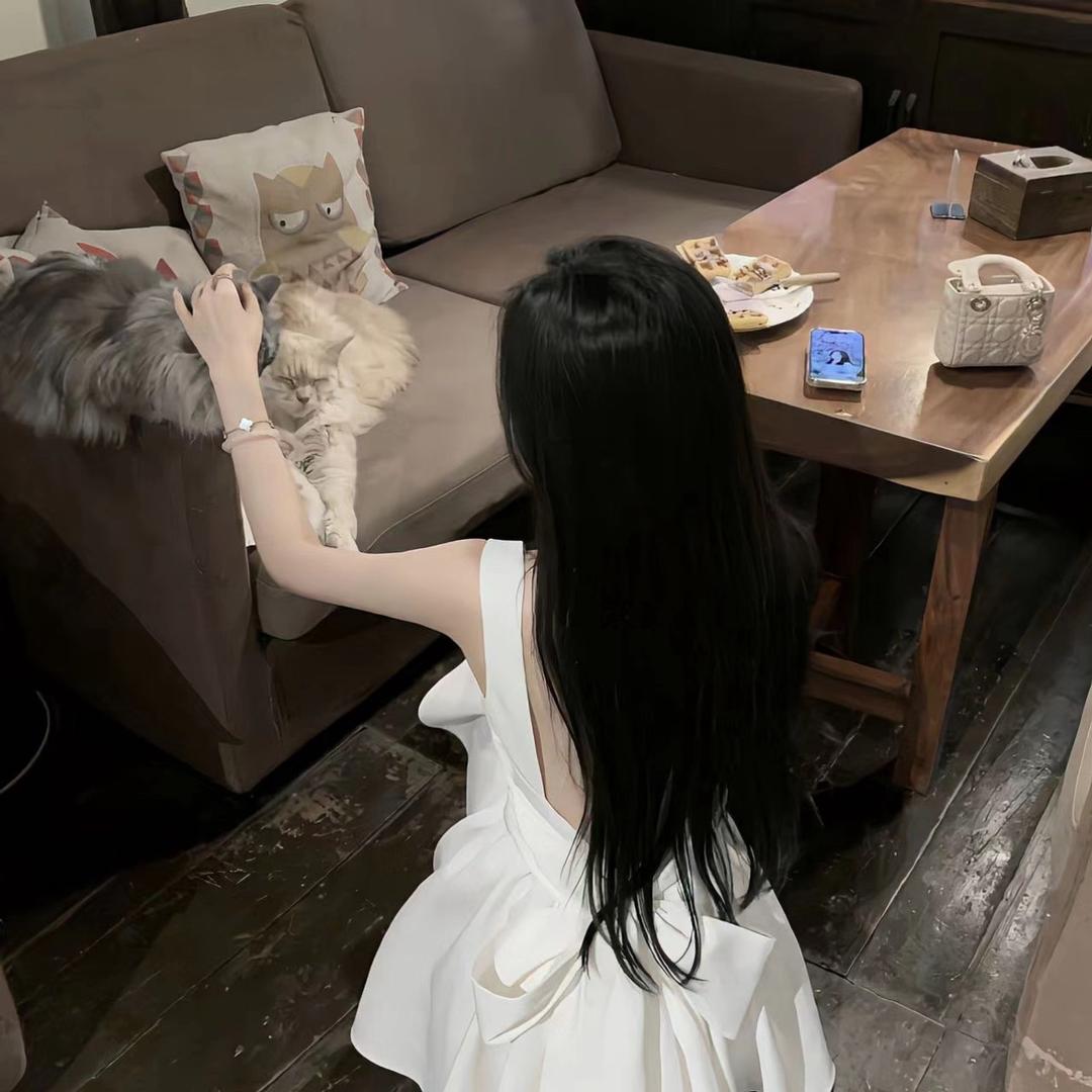 暖暖风信子🍀