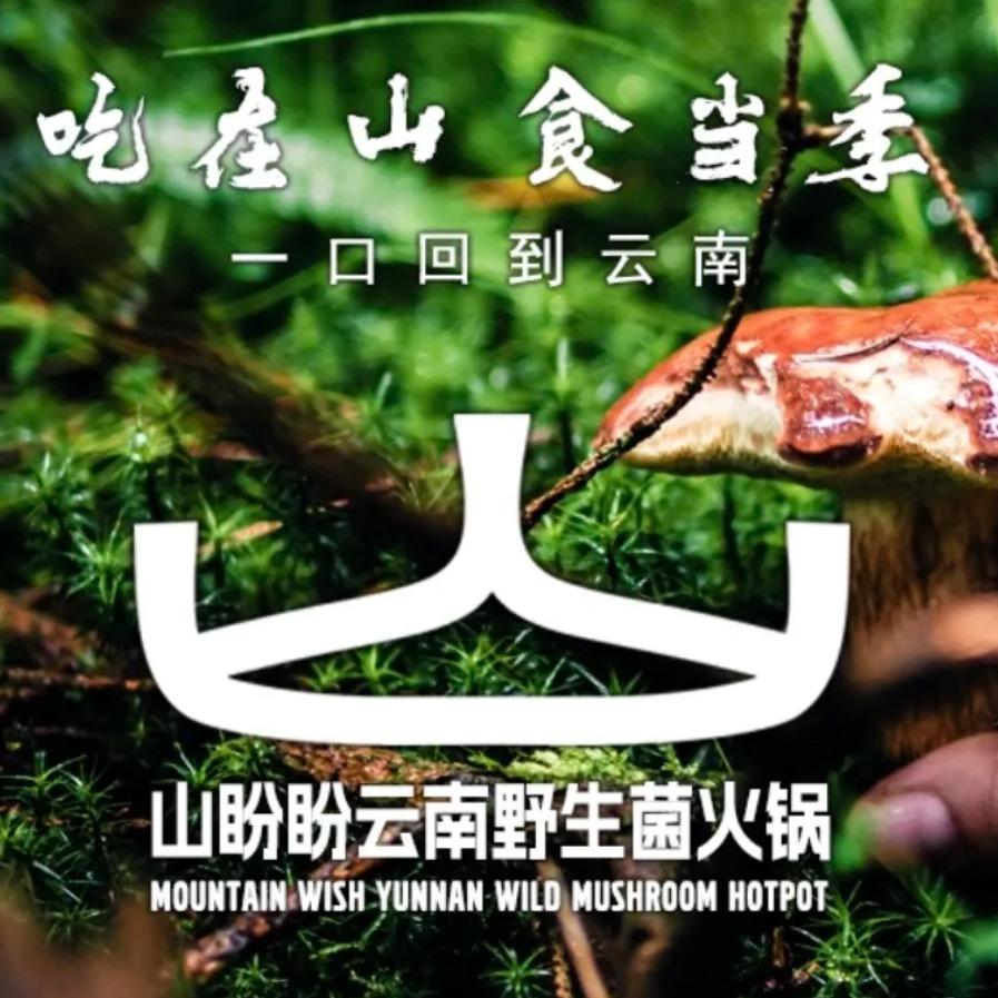 山盼盼云南野生菌火锅