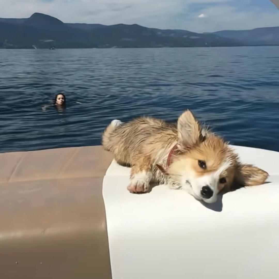 .^_^.