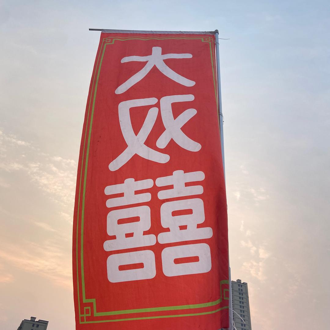 大双囍鹌鹑二号