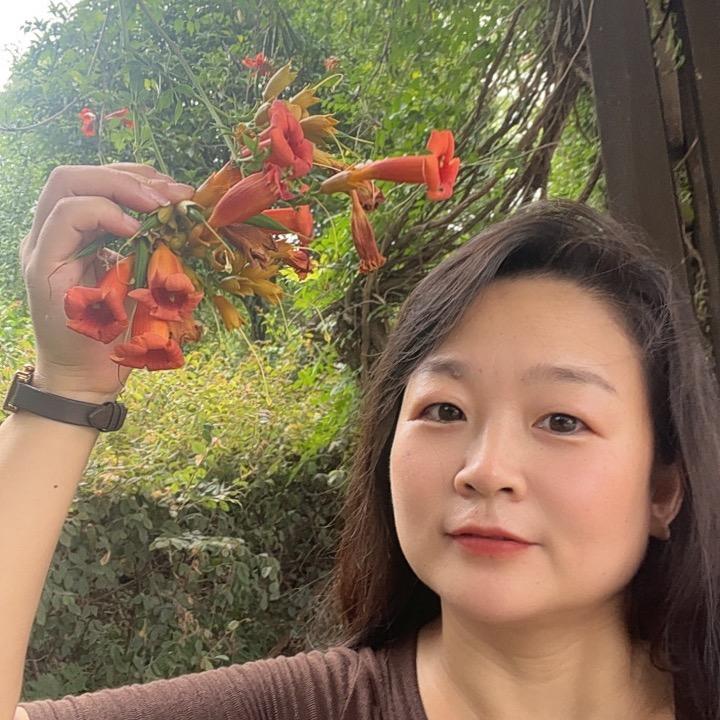 楚山妙方
