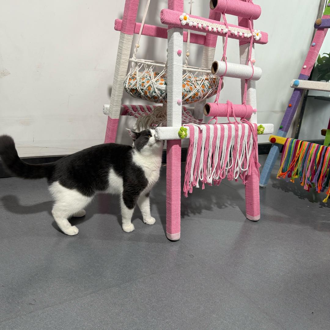 猫爬架DIY厂家。