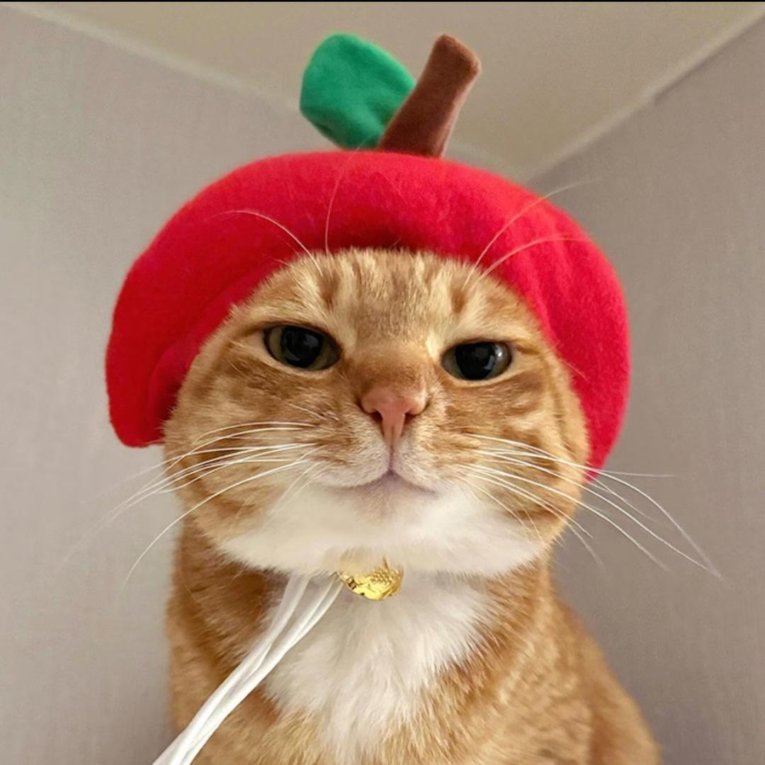 东方新娘婚纱摄影雪花