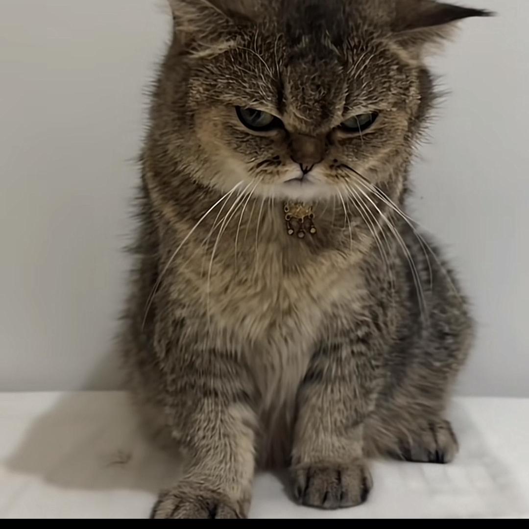 密探眼中的你们