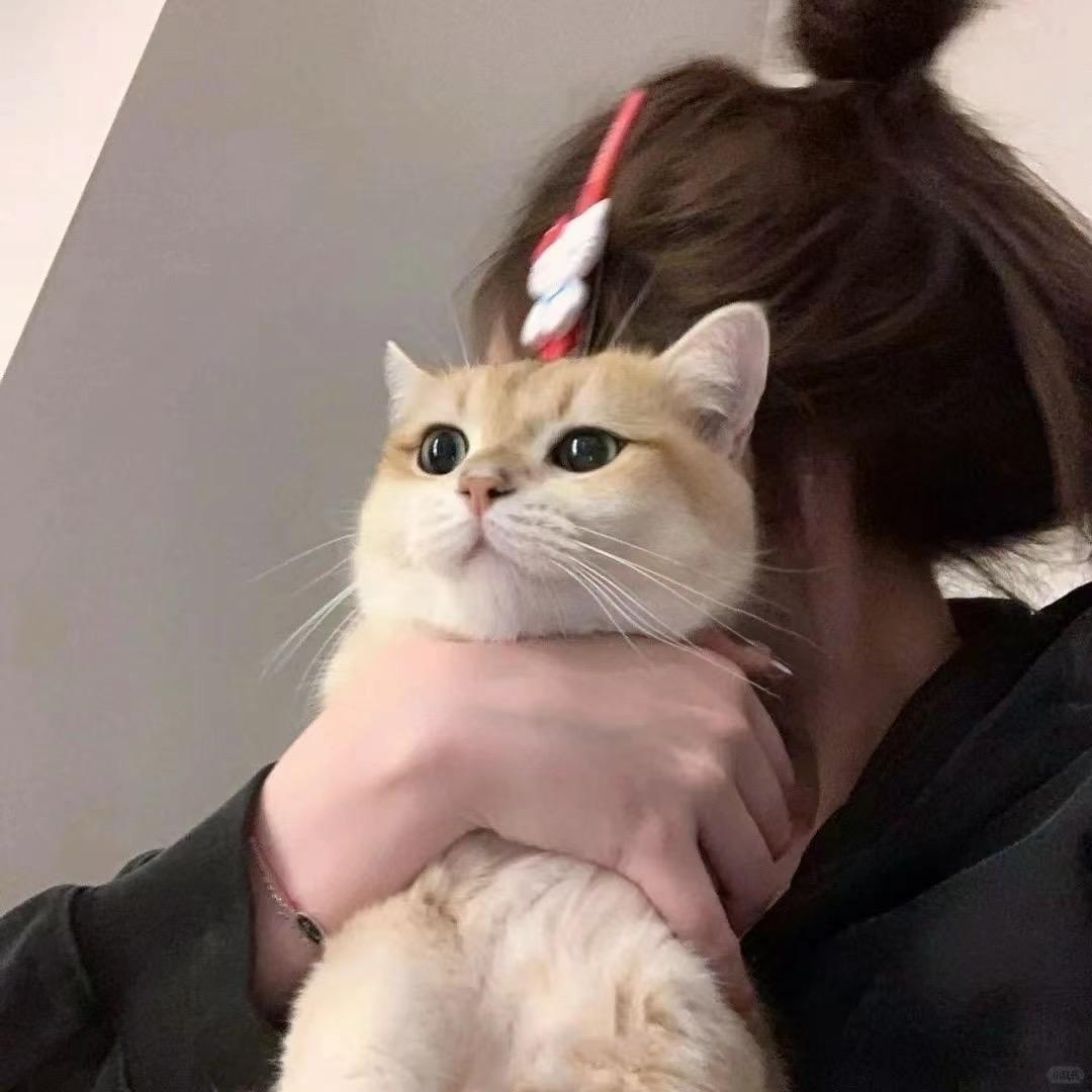 不七早饭