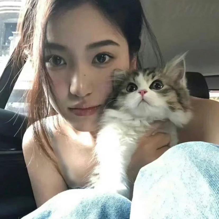 月亮没有赴约.