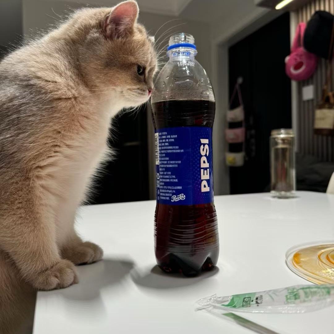 对着镜头笑一下